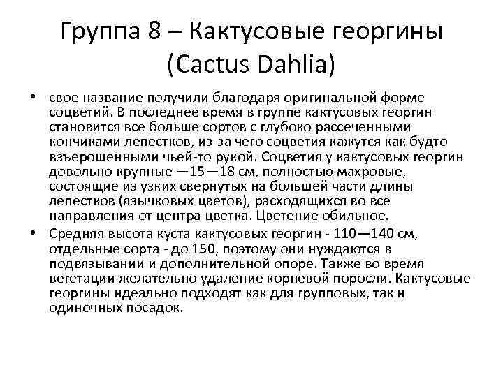 Группа 8 – Кактусовые георгины (Cactus Dahlia) • свое название получили благодаря оригинальной форме