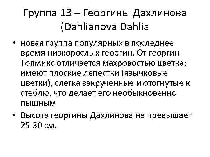 Группа 13 – Георгины Дахлинова (Dahlianova Dahlia • новая группа популярных в последнее время