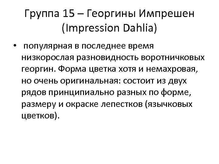 Группа 15 – Георгины Импрешен (Impression Dahlia) • популярная в последнее время низкорослая разновидность