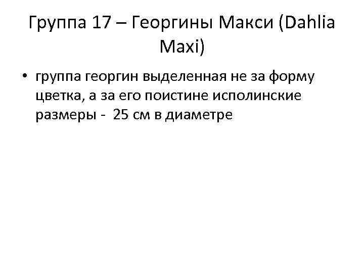 Группа 17 – Георгины Макси (Dahlia Maxi) • группа георгин выделенная не за форму