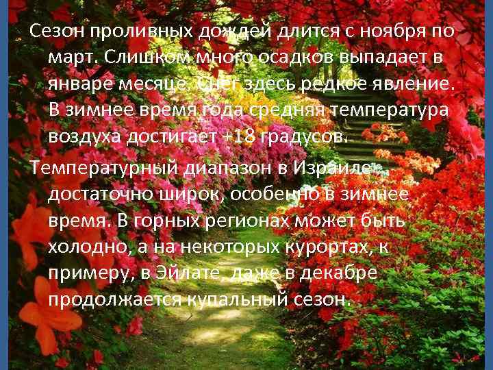 Сезон проливных дождей длится с ноября по март. Слишком много осадков выпадает в январе