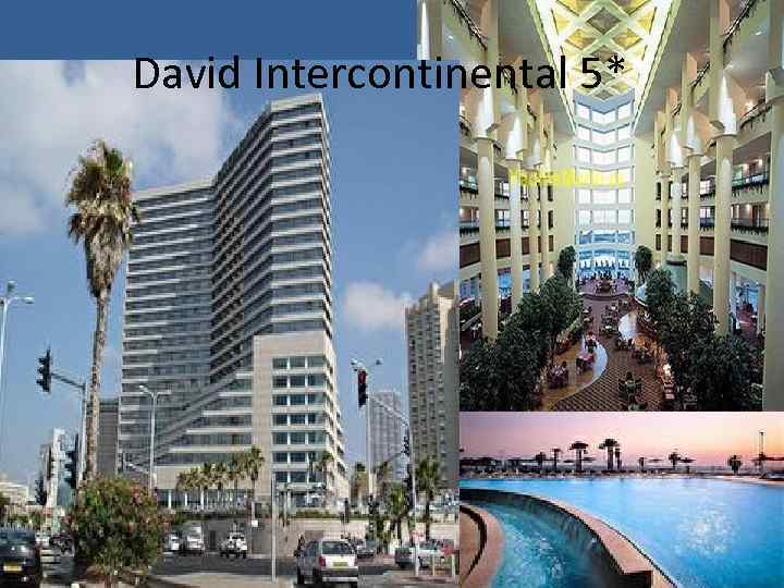 David Intercontinental 5** 