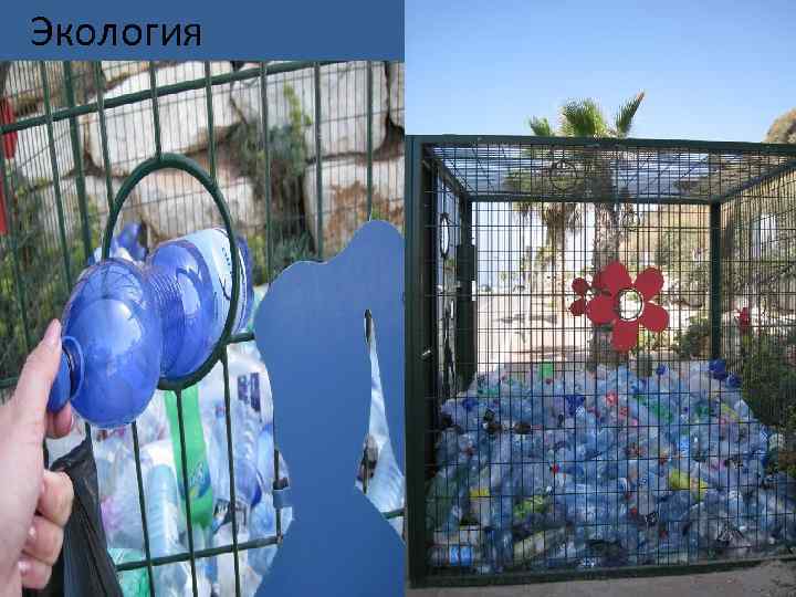 Экология 