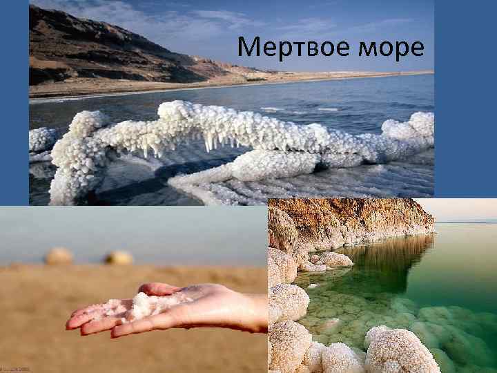  Мертвое море 