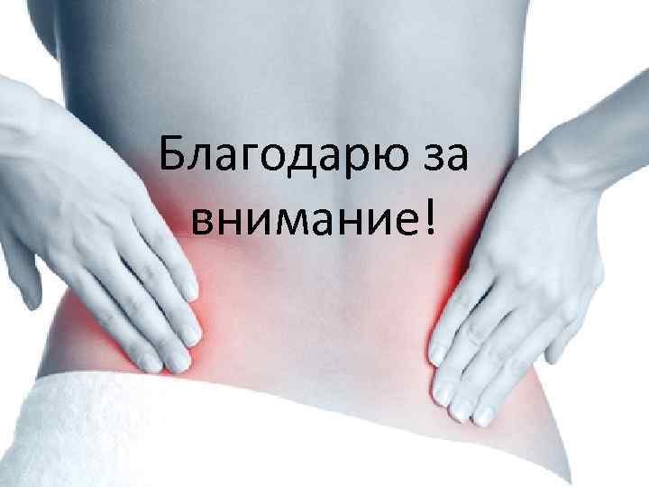 Благодарю за внимание! 