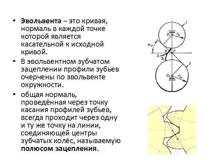  • Эвольвента – это кривая, нормаль в каждой точке которой является касательной к