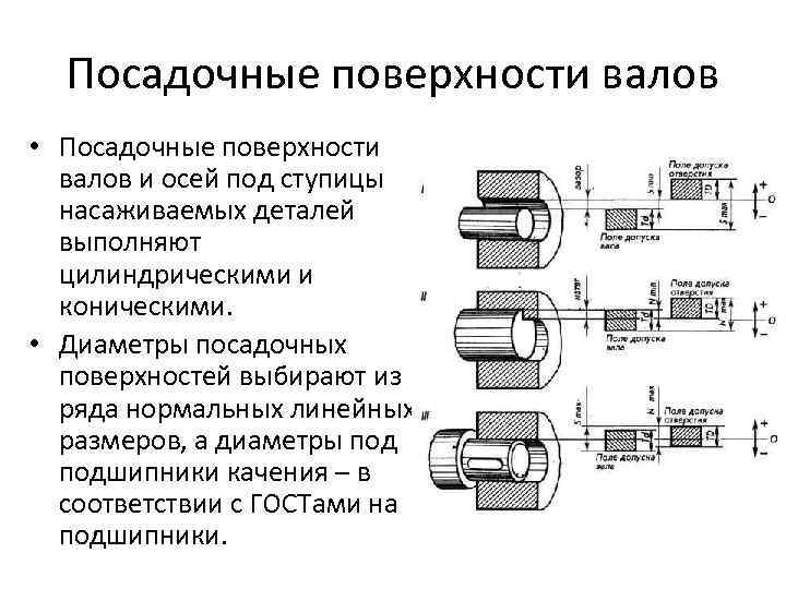 Сопоставить изображения форм переходных участков валов и осей и их названия