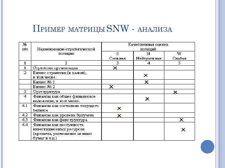 ПРИМЕР МАТРИЦЫ SNW - АНАЛИЗА 