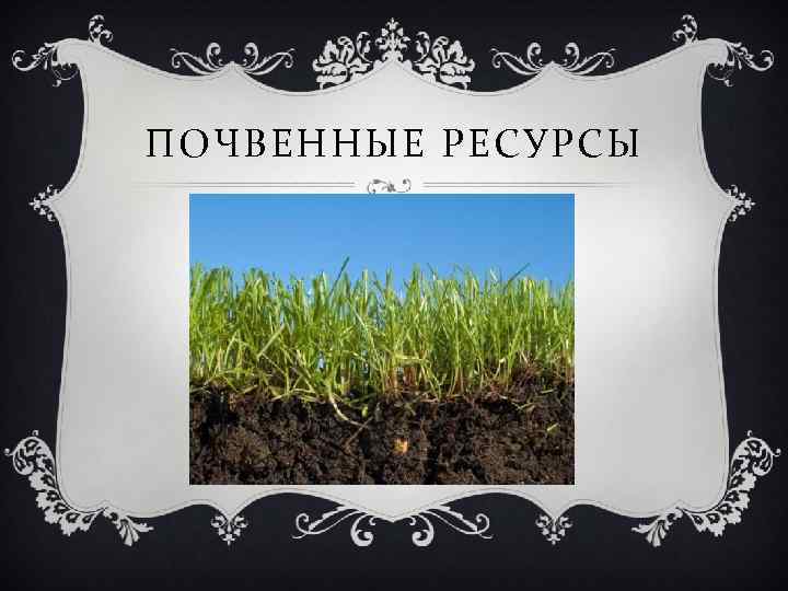 Почвенные природные ресурсы