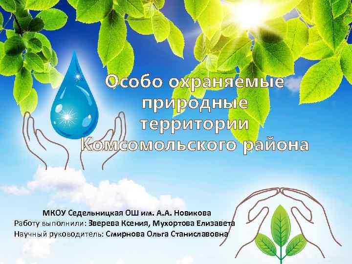 Особо охраняемые природные территории Комсомольского района МКОУ Седельницкая ОШ им. А. А. Новикова Работу