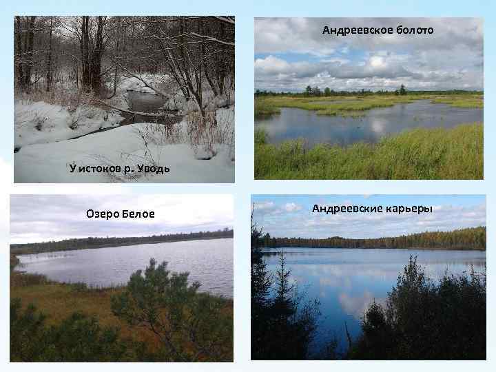 Андреевское болото У истоков р. Уводь 1) пункт первый презентации 2) пункт второй презентации