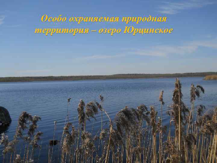 Особо охраняемая природная Фото озера территория – озеро Юрцинское 