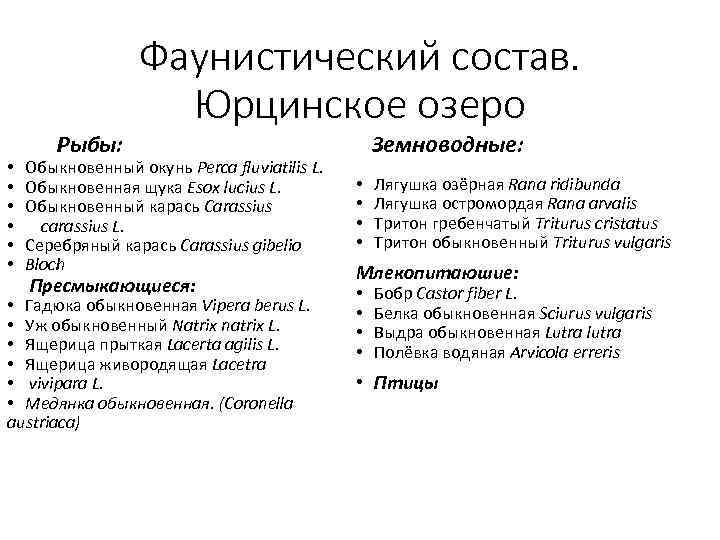  • • • Рыбы: Фаунистический состав. Юрцинское озеро Обыкновенный окунь Perca fluviatilis L.