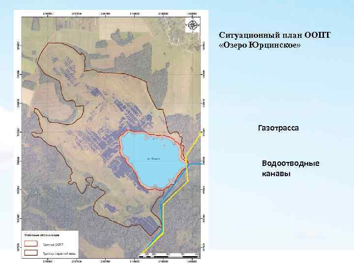 Ситуационный план ООПТ «Озеро Юрцинское» Газотрасса Водоотводные канавы 