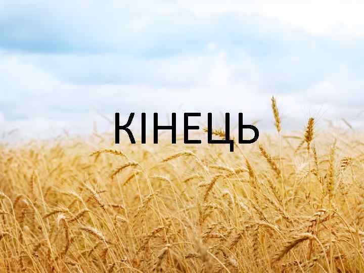 КІНЕЦЬ 