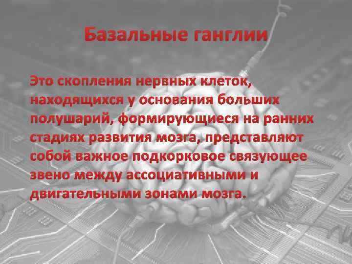 Базальные ганглии Это скопления нервных клеток, находящихся у основания больших полушарий, формирующиеся на ранних