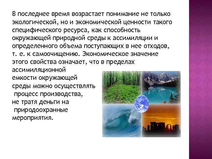 В последнее время возрастает понимание не только экологической, но и экономической ценности такого специфического