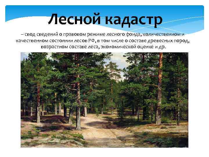  Лесной кадастр – свод сведений о правовом режиме лесного фонда, количественном и качественном