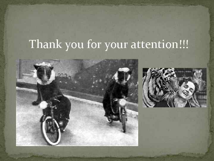 Thank you for your attention!!! 