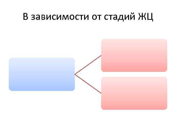 В зависимости от стадий ЖЦ 