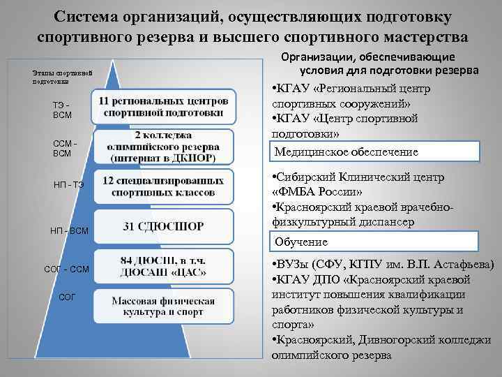 Система организаций, осуществляющих подготовку спортивного резерва и высшего спортивного мастерства Этапы спортивной подготовки ТЭ