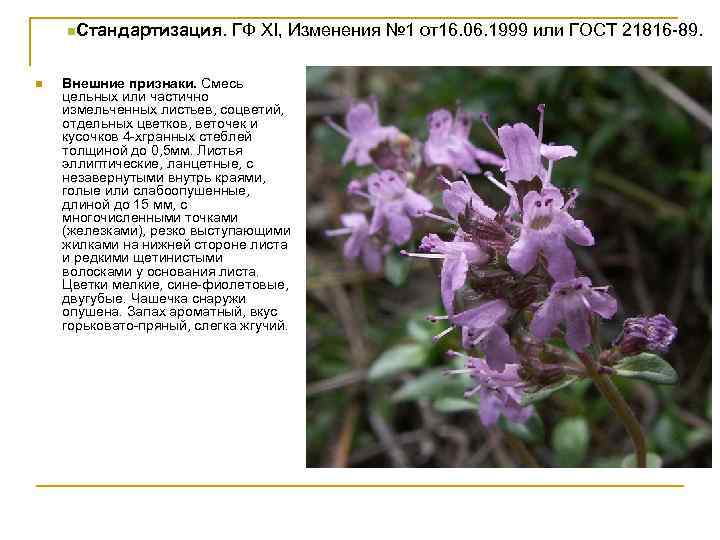 n. Стандартизация. n ГФ XI, Изменения № 1 от16. 06. 1999 или ГОСТ 21816