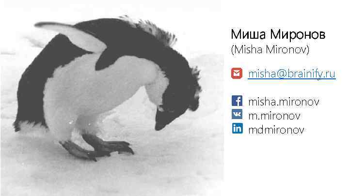 Миша Миронов (Misha Mironov) misha@brainify. ru misha. mironov mdmironov 