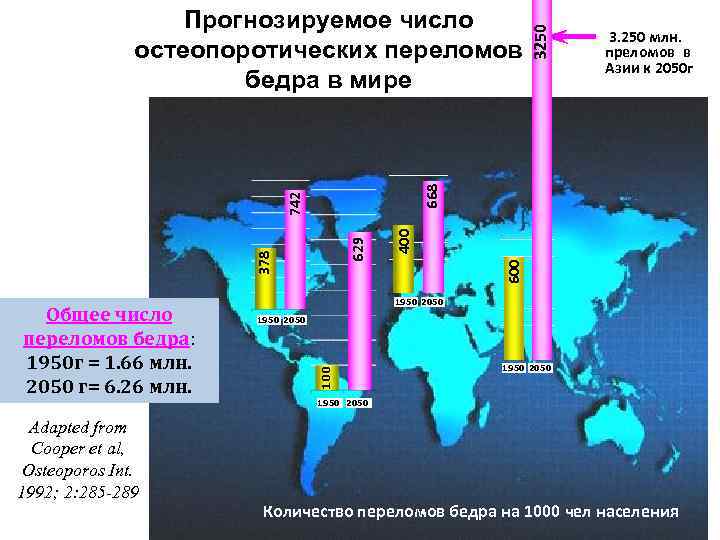 3250 600 400 629 742 378 1950 2050 100 Общее число переломов бедра: 1950