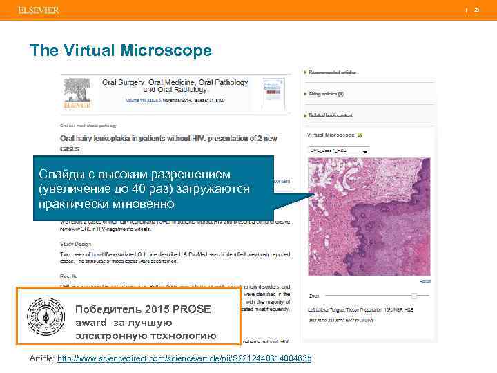 | 29 The Virtual Microscope Слайды с высоким разрешением (увеличение до 40 раз) загружаются