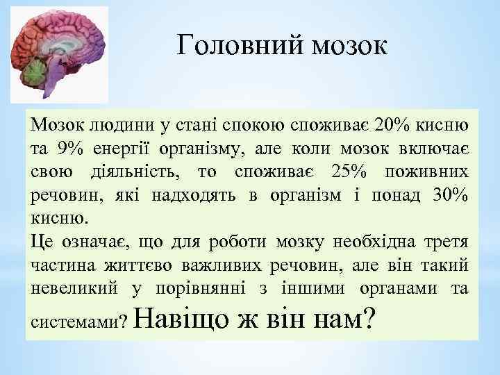 Головний мозок Мозок людини у стані спокою споживає 20% кисню та 9% енергії організму,