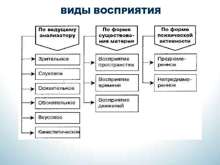 Виды восприятия. Восприятие как психический процесс виды и свойства восприятия. Познавательные процессы восприятие. Характеристику психического познавательного процесса «восприятие».. Восприятие как познавательный психический процесс.