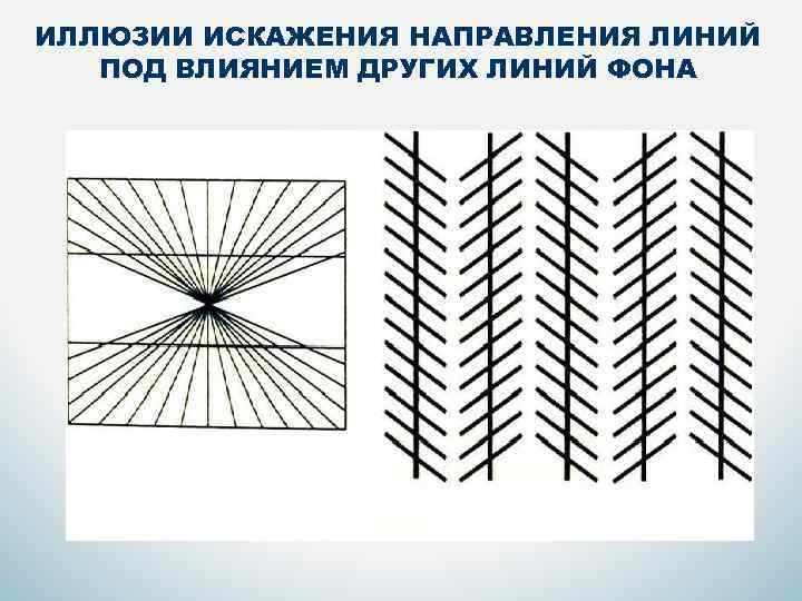 ИЛЛЮЗИИ ИСКАЖЕНИЯ НАПРАВЛЕНИЯ ЛИНИЙ ПОД ВЛИЯНИЕМ ДРУГИХ ЛИНИЙ ФОНА 