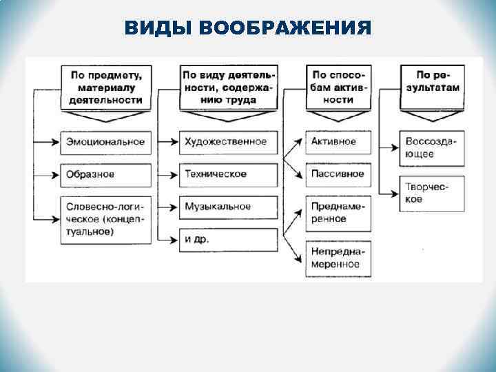 ВИДЫ ВООБРАЖЕНИЯ 