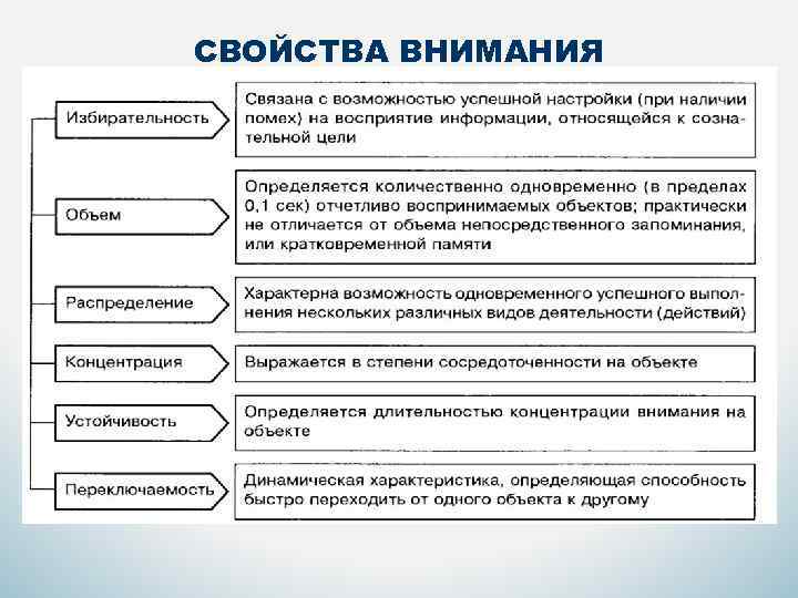 Свойства внимания схема