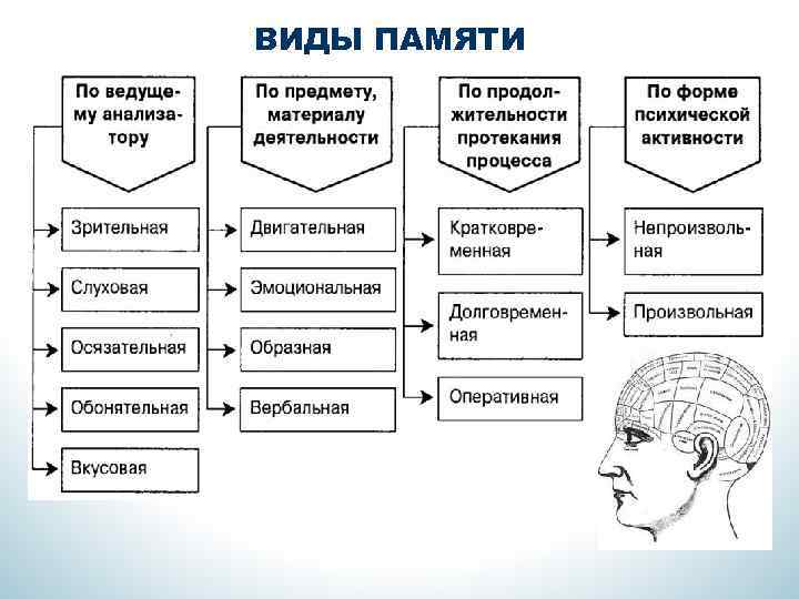 ВИДЫ ПАМЯТИ 