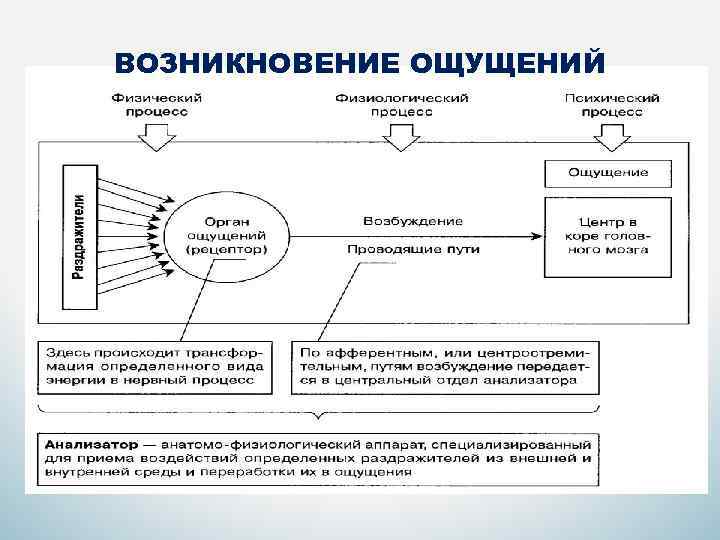 Внутренняя деятельность деятельность и психические процессы. Схема возникновения ощущений в психологии. Возникновение ощущений схема. Схема механизма возникновения ощущения. Процесс возникновения ощущений.