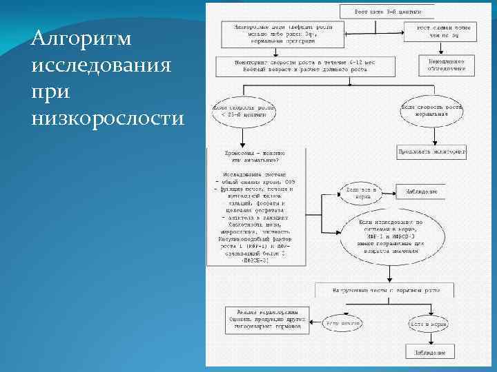 Алгоритм исследования при низкорослости 