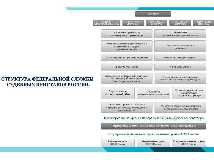 СТРУКТУРА ФЕДЕРАЛЬНОЙ СЛУЖБЫ СУДЕБНЫХ ПРИСТАВОВ РОССИИ. 