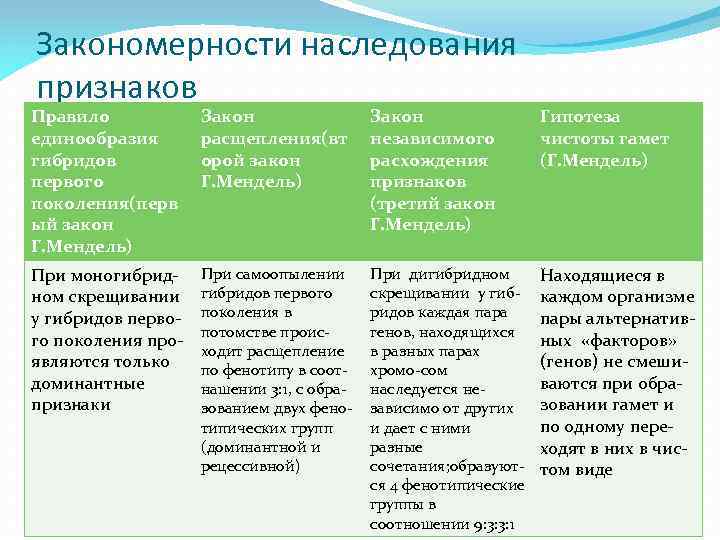 Закономерности наследования признаков Правило единообразия гибридов первого поколения(перв ый закон Г. Мендель) Закон расщепления(вт