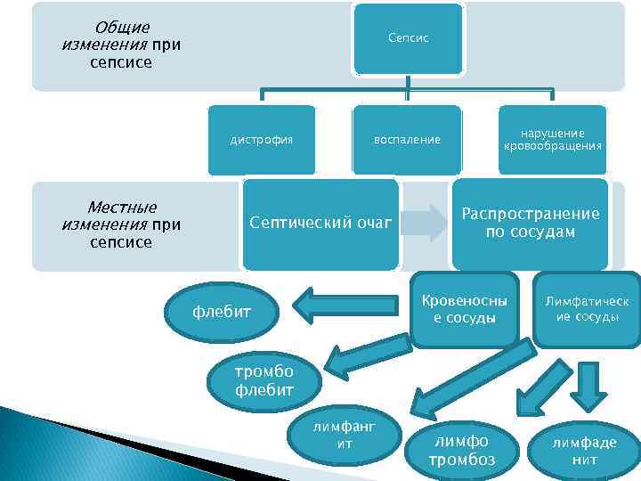 Общие изменения. Общие изменения при сепсисе. Местные изменения при сепсисе. Общие изменения при хрониосепсисе. Сепсис Общие и местные изменения.