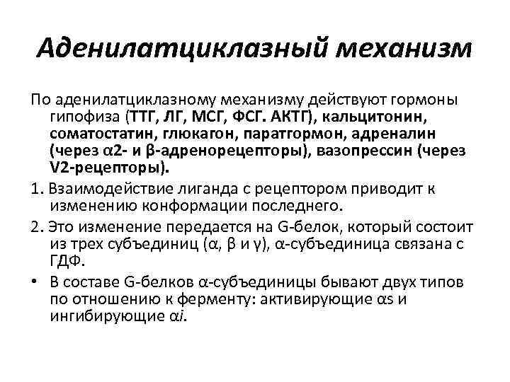 Аденилатциклазный механизм По аденилатциклазному механизму действуют гормоны гипофиза (ТТГ, ЛГ, МСГ, ФСГ. АКТГ), кальцитонин,