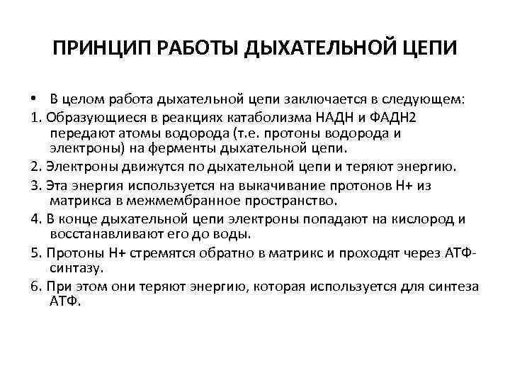 ПРИНЦИП РАБОТЫ ДЫХАТЕЛЬНОЙ ЦЕПИ • В целом работа дыхательной цепи заключается в следующем: 1.