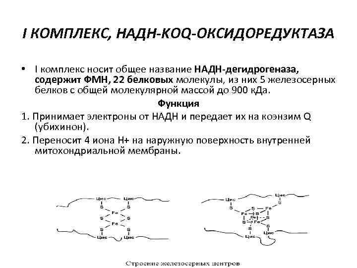 I КОМПЛЕКС, НАДН-KOQ-ОКСИДОРЕДУКТАЗА • I комплекс носит общее название НАДН-дегидрогеназа, содержит ФМН, 22 белковых