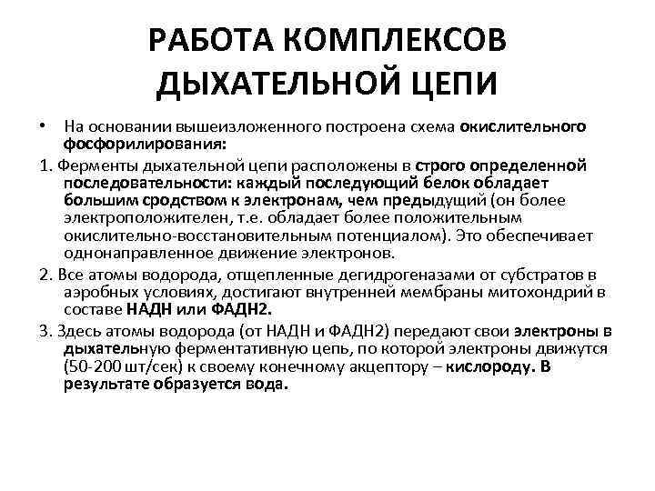 РАБОТА КОМПЛЕКСОВ ДЫХАТЕЛЬНОЙ ЦЕПИ • На основании вышеизложенного построена схема окислительного фосфорилирования: 1. Ферменты