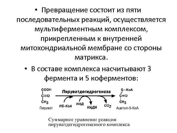 Современная схема биологического окисления