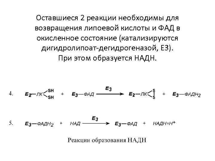 Схема биологического окисления