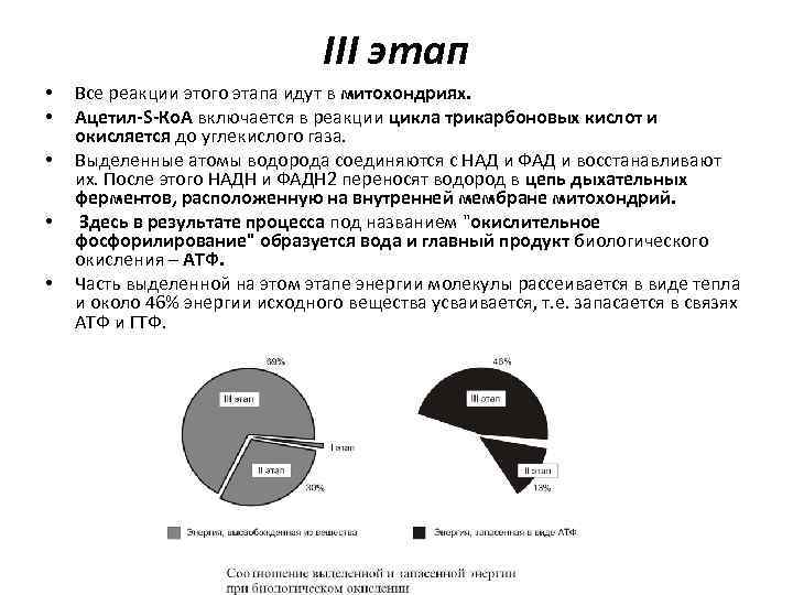 III этап • • • Все реакции этого этапа идут в митохондриях. Ацетил-S-Ко. А