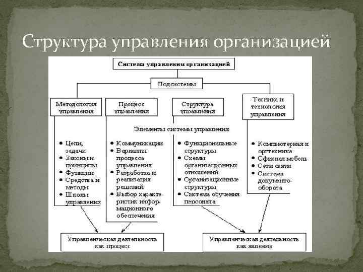 Структура управления организацией 