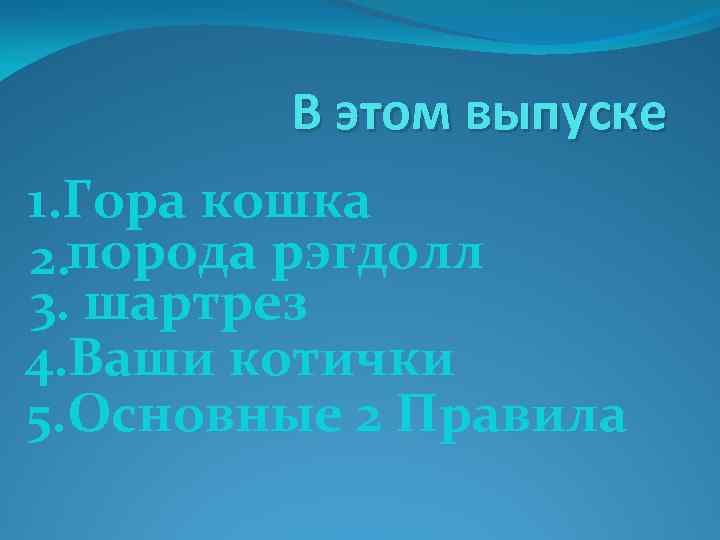 В этом выпуске 1. Гора кошка порода рэгдолл 2. 3. шартрез 4. Ваши котички