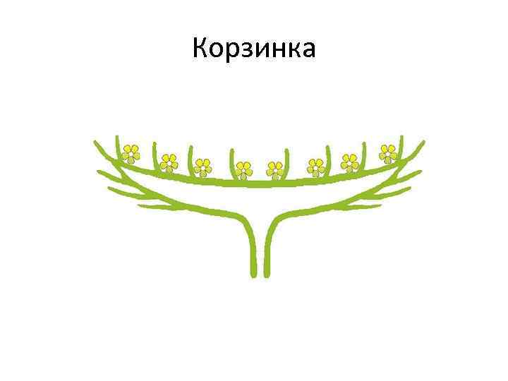 Корзинка 